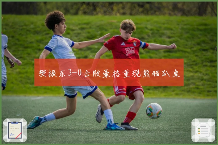 樊振东3-0击败豪格重现熊猫趴桌